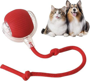 SnapShop⢠Smart Chase Pet Ball