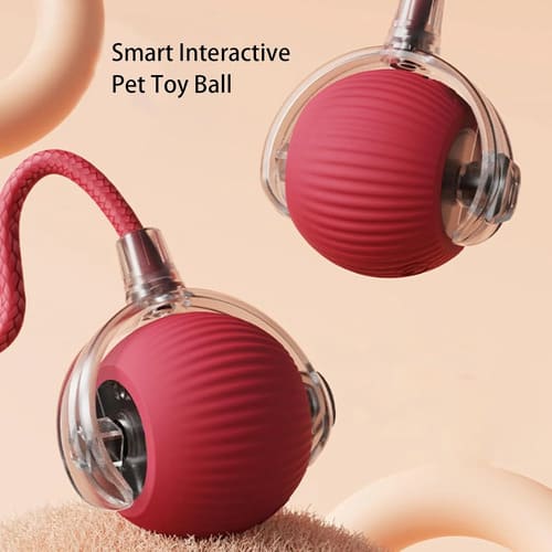 SnapShopβ’ Smart Chase Pet Ball
