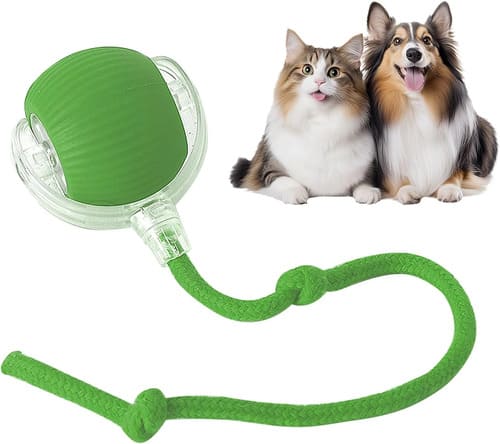 SnapShopβ’ Smart Chase Pet Ball
