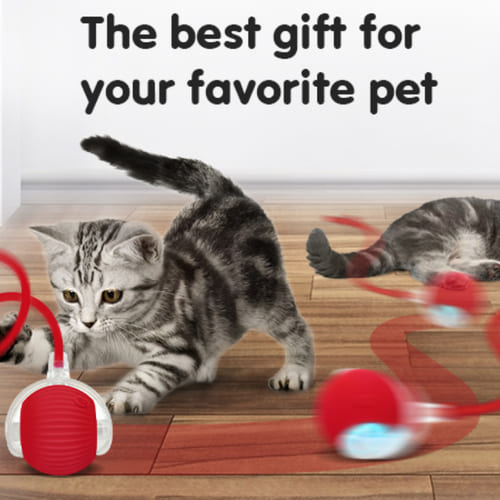 SnapShopβ’ Smart Chase Pet Ball