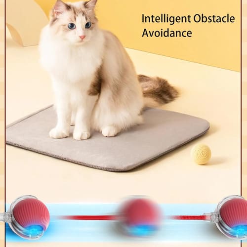 SnapShop™ Smart Chase Pet Ball