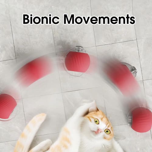 SnapShop™ Smart Chase Pet Ball