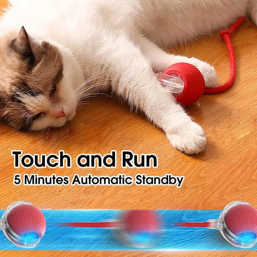 SnapShop™ Smart Chase Pet Ball