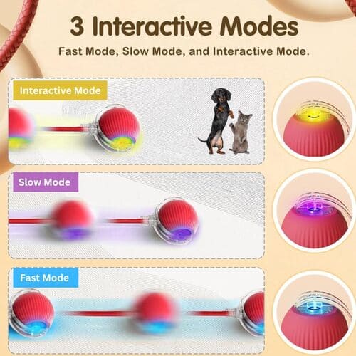 SnapShop™ Smart Chase Pet Ball
